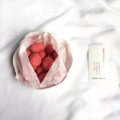 圣域纪元bt版下载